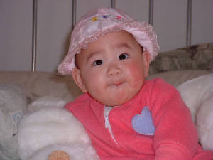 DSCF0328.JPG